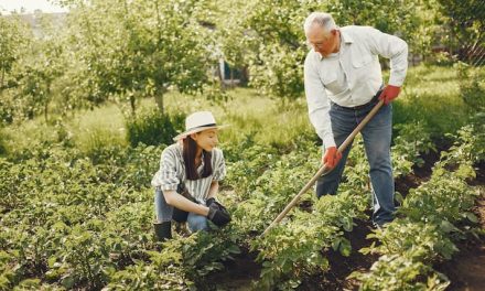 Manfaat Berkebun Bagi Kesehatan Fisik Dan Mental
