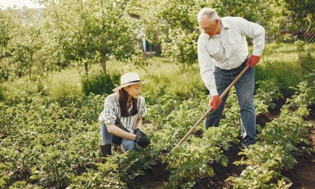 Manfaat Berkebun Bagi Kesehatan Fisik Dan Mental