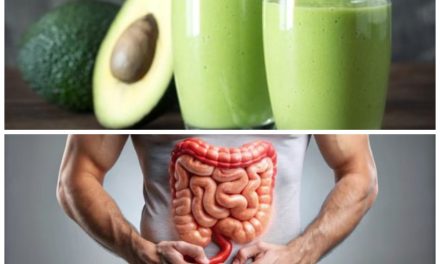 Menjaga Kesehatan Usus Agar Pencernaan Tetap Optimal