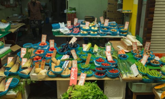 Peluang Bisnis Menjanjikan Tahun Ini Yang Wajib Dicoba