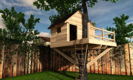 Inspirasi Desain Rumah Pohon Yang Menarik Dan Sederhana