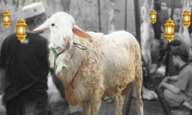 Makna Idul Adha: Lebih Dari Sekadar Perayaan Dan Kurban