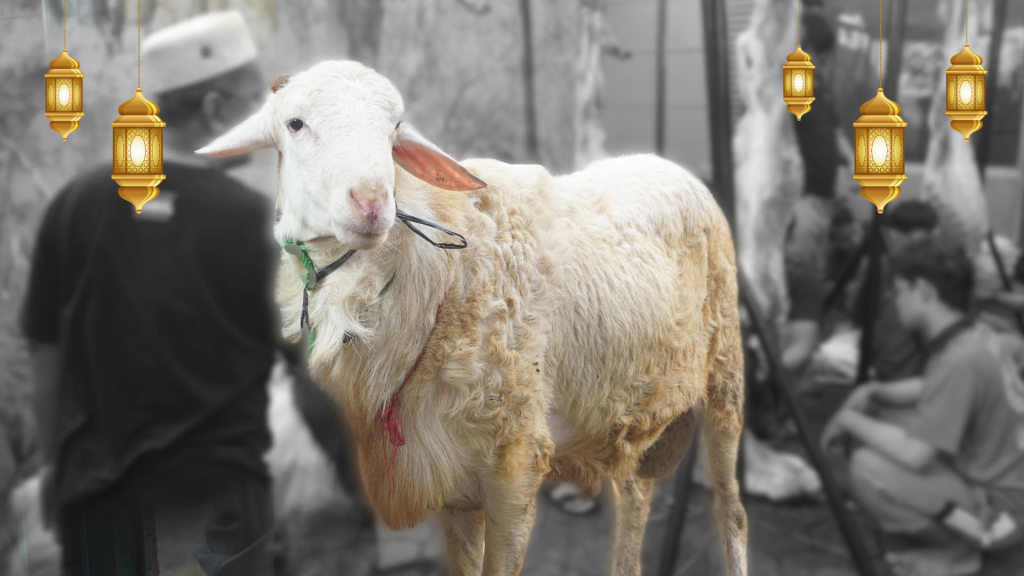 Makna Idul Adha: Lebih Dari Sekadar Perayaan Dan Kurban
