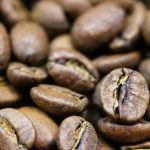 Rahasia Cita Rasa Kopi Sidikalang Yang Mendunia