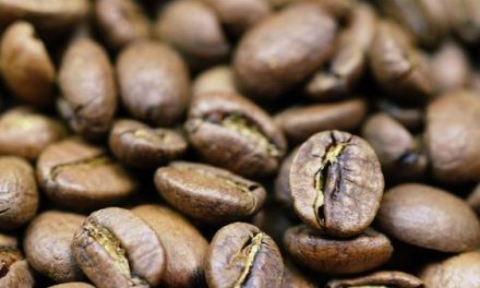 Rahasia Cita Rasa Kopi Sidikalang Yang Mendunia