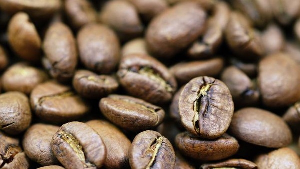 Rahasia Cita Rasa Kopi Sidikalang Yang Mendunia