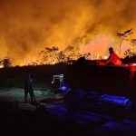 Tanggapan Pemerintah Mengenai Kebakaran Hutan Di Kalimantan