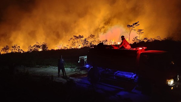Tanggapan Pemerintah Mengenai Kebakaran Hutan Di Kalimantan