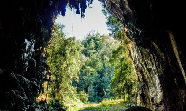 Gua Alam: Mengenal Proses Terbentuknya Ruang Bawah Tanah