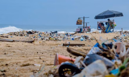 Kebersihan Pantai: Peran Masyarakat Dalam Mengurangi Sampah