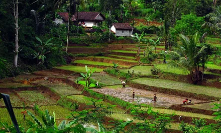 Menikmati Keindahan Indonesia Sambil Menjaga Kelestarian Alam